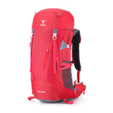 کوله پشتی دو روزه کله گاوی (پیکینیو) پلار POLAR 40