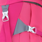 کوله پشتی دو روزه کله گاوی (پیکینیو) پلار POLAR 40