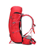 کوله کله گاوی پیکینیو شاسی دار