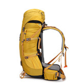 کوله کله گاوی پیکینیو دو و چند روزه زرد