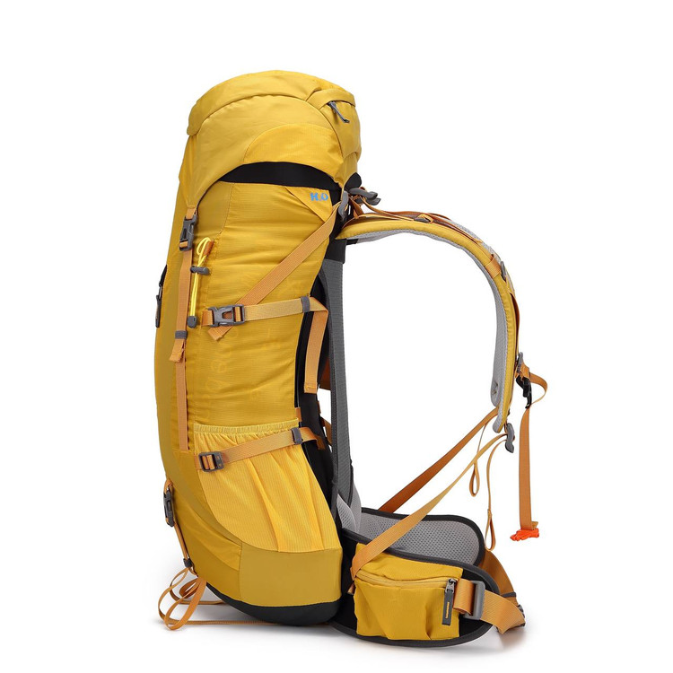 کوله کله گاوی پیکینیو دو و چند روزه زرد