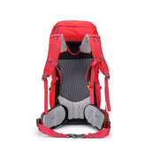 کوله پشتی شاسی دار کله گاوی (پیکینیو) سامیت SUMMIT40+5