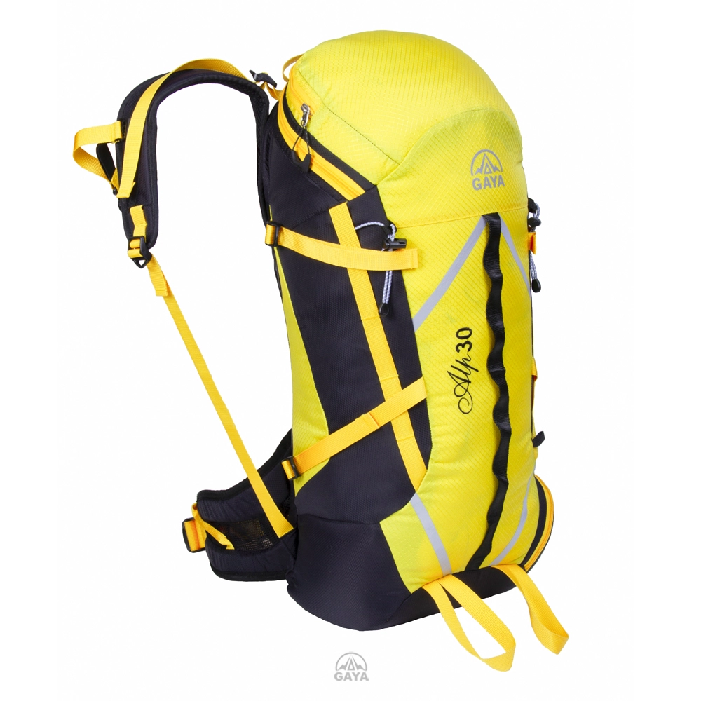 کوله پشتی فنی قایا آلپ 30