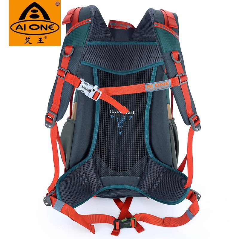 کوله پشتی ای وان 32 یکروزه دارای فریم